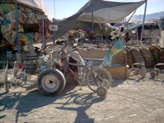 IMAG0079
